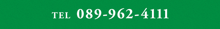 089-962-4111